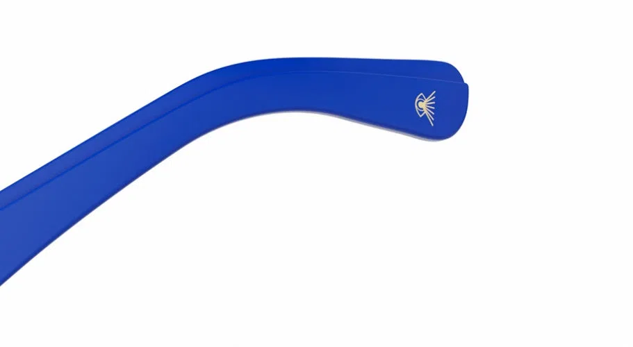 Etnia Barcelona THE EINSTEIN 2 SUN Sunglasses - view 48